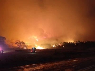 Bursa'da orman yangını; 14 saatte s&ouml;nd&uuml;r&uuml;ld&uuml;