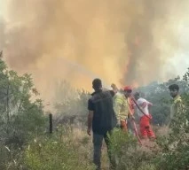 Bursa'da orman yangını