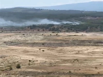 Bursa'da orman yangını