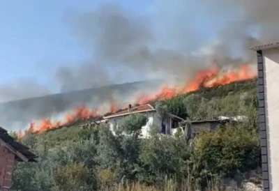 Bursa'da orman yangını