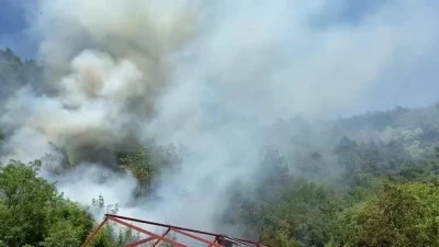 Bursa'da ormana sı&ccedil;rayan yangın kontrol altına alındı