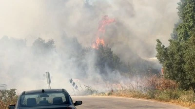 Bursa'da ormanlık alanda yangın