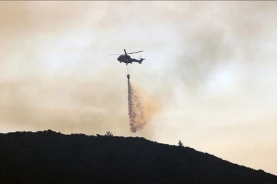 Bursa'da ormanlık alanda yangın
