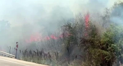 Bursa'da otluk alanda yangın
