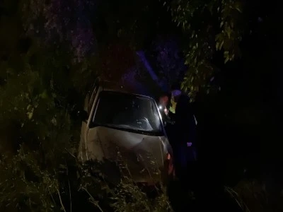 Bursa'da otomobil zeytinliğe u&ccedil;tu: 2'si &ccedil;ocuk 4 yaralı