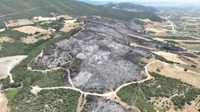 Bursa'da peş peşe gelen yangınların t&uuml;m detayı a&ccedil;ıklandı