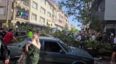 Bursa'da seyir halindeki ara&ccedil;ların &uuml;zerine devrilen ağacın ardından gen&ccedil; s&uuml;r&uuml;c&uuml;n&uuml;n durumu ağır!