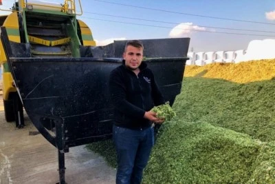 Bursa'da slajlık yem ve saman hem ekonomik hem de verimli