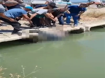 Bursa'da sulama kanalında erkek cesedi bulundu