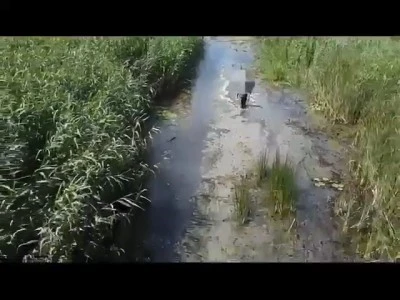 Bursa'da s&uuml;l&uuml;k toplarken kayboldu 