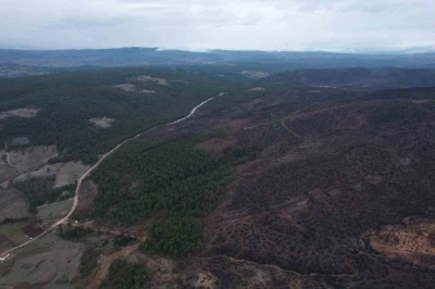 Bursa&rsquo;da tarihin en b&uuml;y&uuml;k orman yangınında yaralar b&ouml;yle sarıldı
