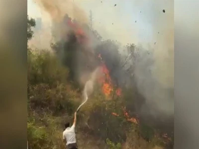 Bursa&rsquo;da tarım arazisinde &ccedil;ıkan yangın s&ouml;nd&uuml;r&uuml;ld&uuml;