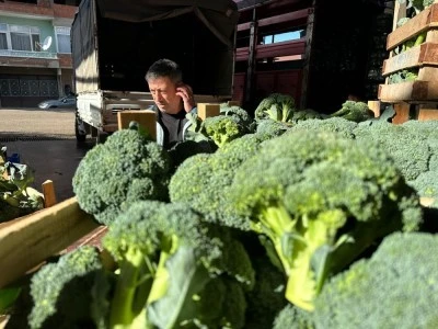 Bursa'da tarla fiyatı 10 lira pazar fiyatı 70 lira