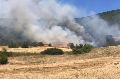 Bursa'da t&uuml;m uyarılara rağmen anız yakımı orman sı&ccedil;radı