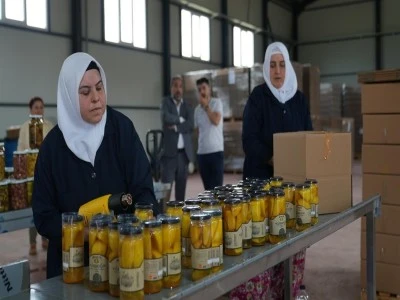 Bursa'da turşu zamanı!