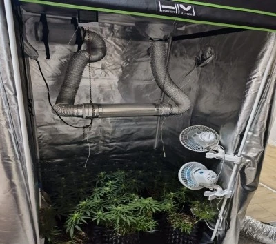 Bursa'da uyuşturucu operasyonu