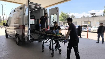 Bursa'da &uuml;z&uuml;m yaprağı toplarken canından oluyordu