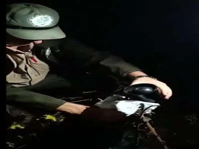 Bursa'da yaban hayvanlarını avlamak i&ccedil;in ses cihazı ve d&uuml;zeneği kurmuşlar