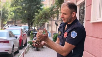 Bursa'da yağmur suyu giderine sıkışan kediyi itfaiye kurtardı