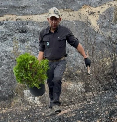 Bursa'da yanan b&ouml;lgeye ilk fidan dikildi