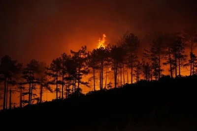 Bursa'da yanan ormanların yeniden oluşması i&ccedil;in 100 yıl gerekli 