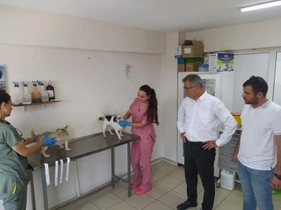 Bursa'da yangından etkilenen can dostlarımız tedavi altına alındı