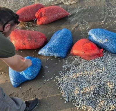 Bursa'da yasa dışı kum şırlanı avcılığına ge&ccedil;it yok