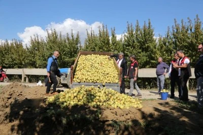 Bursa'da yasaklı zirai ila&ccedil; ile &uuml;retilen 40 ton armut imha edildi