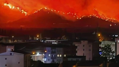 Bursa'da yaşanan orman yangınlarının maliyeti 