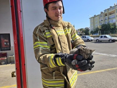 Bursa'da yavru kedi otomobilin motorunda il&ccedil;e il&ccedil;e gezdi