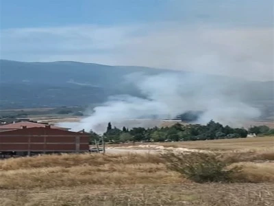 Bursa'da yerleşim alanlarına yakın anız yangını