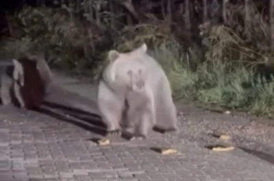 Bursa'da yetkililerin uyarılarını hi&ccedil;e saydılar 