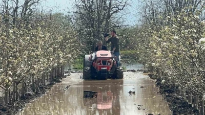 Bursa&rsquo;da y&uuml;zlerce d&ouml;n&uuml;m şeftali ve armut bah&ccedil;esi su altında