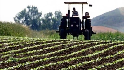 Bursa'da zor durumda olan &ccedil;ift&ccedil;iler Cumhurbaşkanı Erdoğan'dan yardım bekliyor! 
