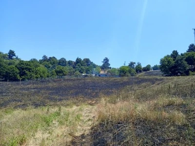 Bursa Dağyenice'de &ccedil;ıkan yangın hakkında Nil&uuml;fer Belediyesi'nden a&ccedil;ıklama