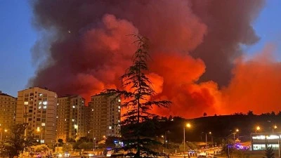 Bursa dahil 7 ilde &ccedil;ıkan orman yangınlarında 132 bağımsız birim ağır hasar g&ouml;rd&uuml;