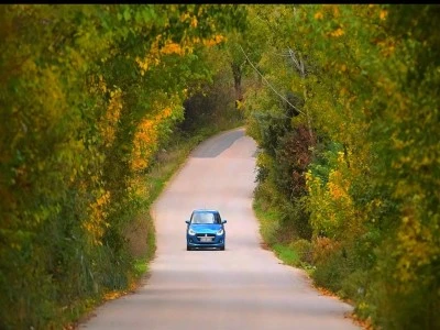 Bursa&rsquo;daki meyve bah&ccedil;eleri, sonbahar renklerine b&uuml;r&uuml;nd&uuml;