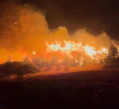 Bursa&rsquo;daki orman yangını Ak&ccedil;asusurluk k&ouml;y&uuml;ne yaklaştı, yerleşim alanları boşaltıldı