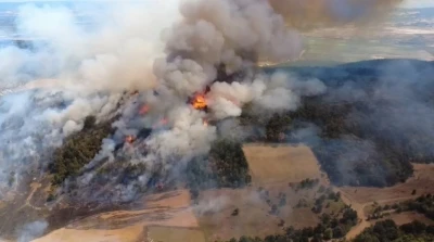 Bursa&rsquo;daki orman yangını kontrol altına alındı
