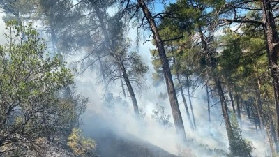 Bursa'daki orman yangını yoğun &ccedil;alışmalar sonucunda s&ouml;nd&uuml;r&uuml;ld&uuml;