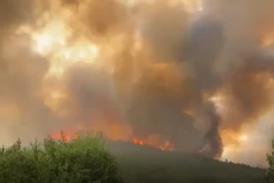 Bursa'daki yangın yerleşim yerine yaklaştı...