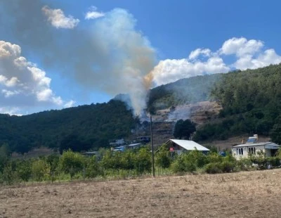 Bursa'dan k&ouml;t&uuml; haber: Orman yangını! 
