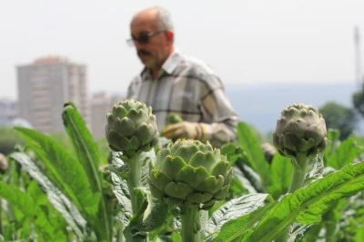 Bursa enginarında bereketli d&ouml;nem!