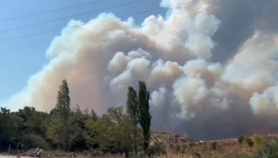 Bursa G&uuml;ndoğdu yangınında son durum! 