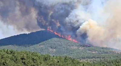 Bursa Harmancık'ta orman yangını yeniden başladı