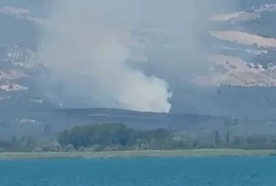 Bursa İznik'te orman yangını