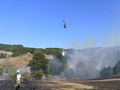 Bursa İznik'te orman yangını