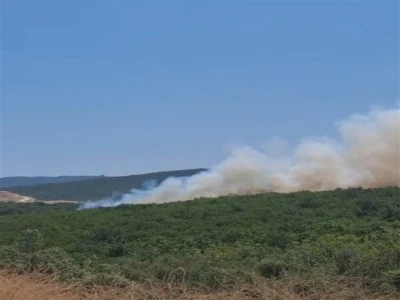 Bursa Kayapa'da yangın