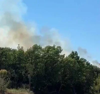 Bursa Kestel'de orman yangını