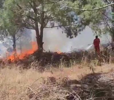 Bursa Nil&uuml;fer'de ağa&ccedil;lık alanda yangın